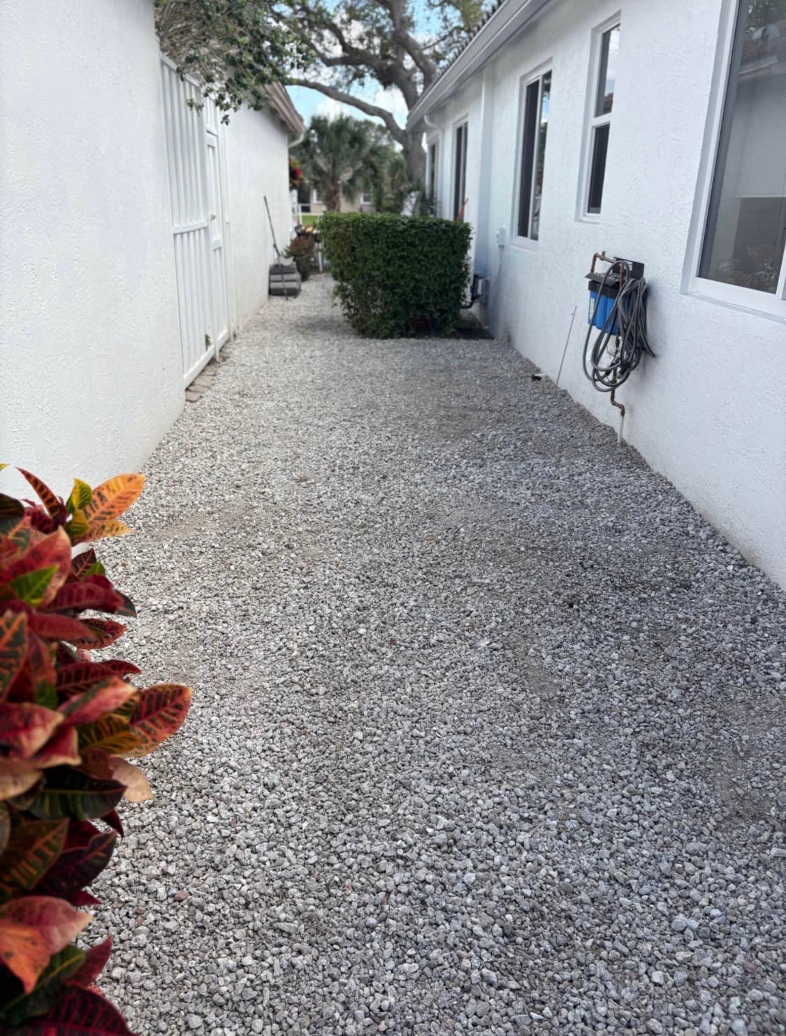 Side yard finished with crushed concrete millings