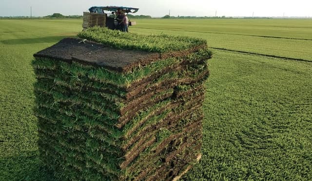 Sod & Fill Dirt by My Horse Farm