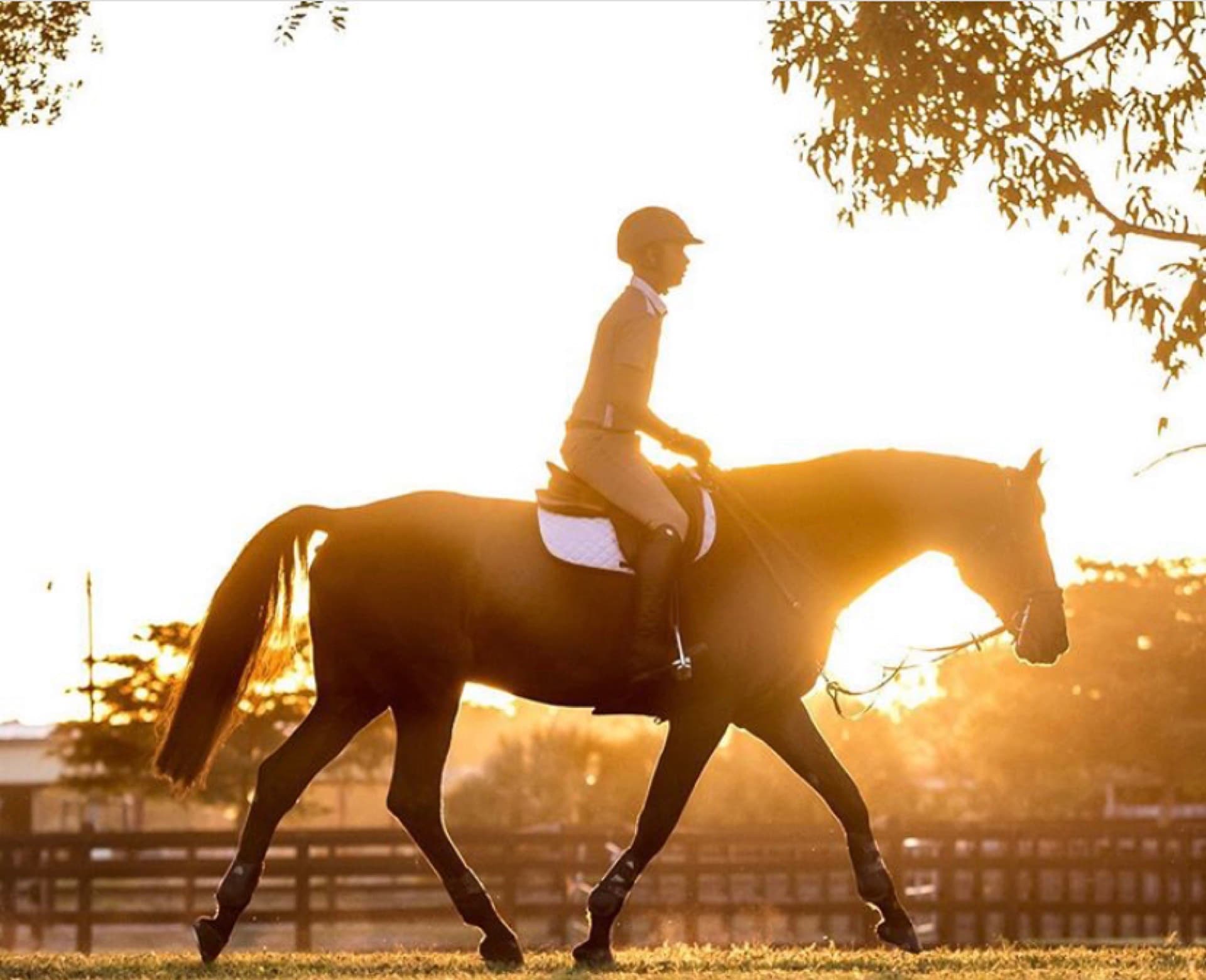 Equestrian farm in Palm Beach County