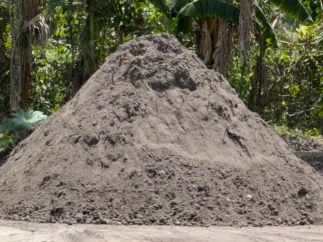 Fill Dirt